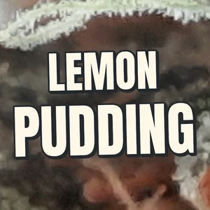 Lemon Pudding Cannabis Strain