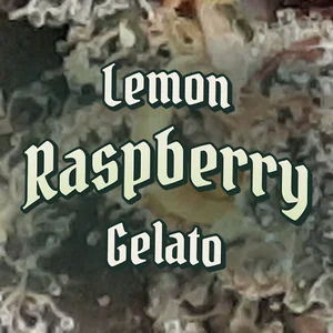 Lemon Raspberry Gelato Cannabis Strain