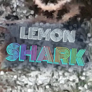 Lemon Shark Cannabis Strain