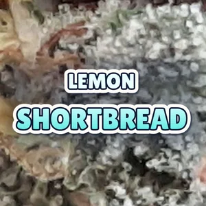 Lemon Shortbread Cannabis Strain