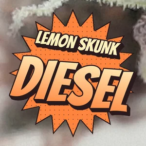 Lemon Skunk Diesel Cannabis Strain