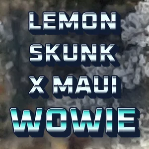 Lemon Skunk x Maui Wowie Cannabis Strain