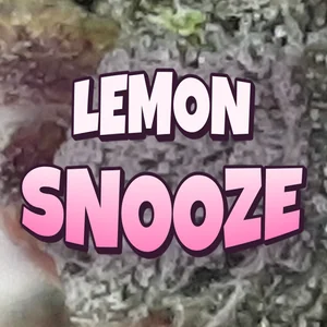Lemon Snooze Cannabis Strain