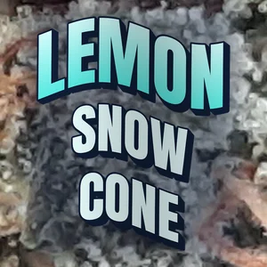 Lemon Snow Cone Cannabis Strain