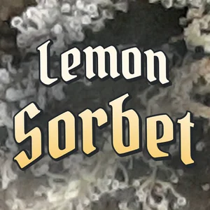 Lemon Sorbet Cannabis Strain