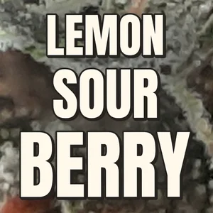 Lemon Sour Berry Cannabis Strain