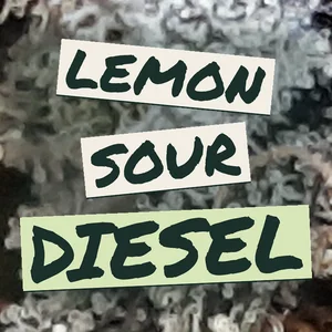 Lemon Sour Diesel Cannabis Strain