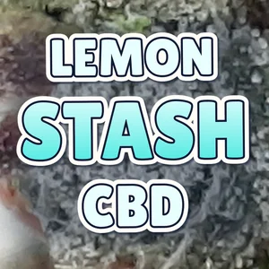 Lemon Stash CBD Cannabis Strain