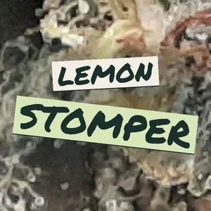 Lemon Stomper Cannabis Strain