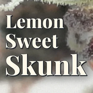 Lemon Sweet Skunk Cannabis Strain