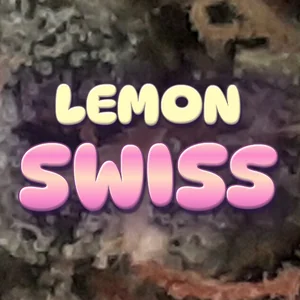 Lemon Swiss Cannabis Strain