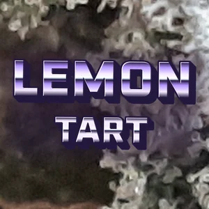 Lemon Tart Cannabis Strain