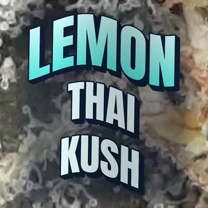 Lemon Thai Kush Cannabis Strain