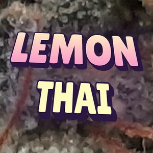 Lemon Thai Cannabis Strain