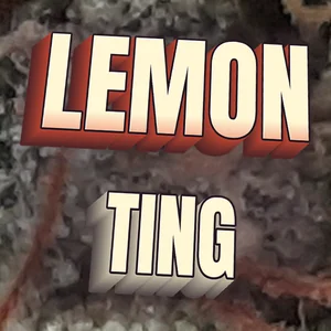 Lemon Ting Cannabis Strain