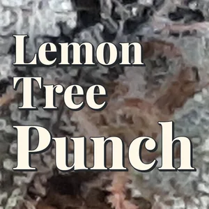 Lemon Tree Punch Cannabis Strain