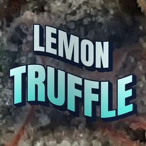 Lemon Truffle Cannabis Strain