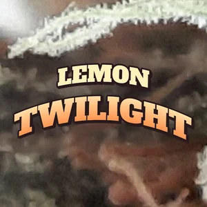 Lemon Twilight Cannabis Strain