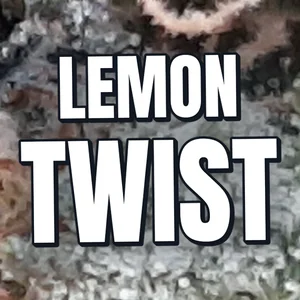 Lemon Twist Cannabis Strain