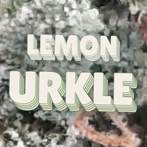 Lemon Urkle Cannabis Strain