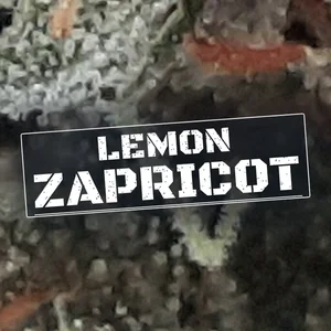 Lemon Zapricot Cannabis Strain
