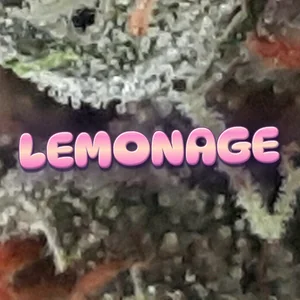 Lemonage Cannabis Strain