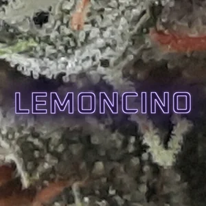 Lemoncino Cannabis Strain
