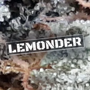 Lemonder Cannabis Strain