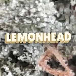 Lemonhead Cannabis Strain
