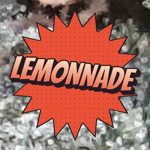 Lemonnade Cannabis Strain