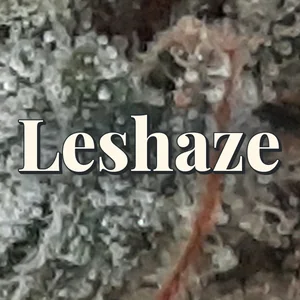 Leshaze Cannabis Strain