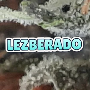 Lezberado Cannabis Strain