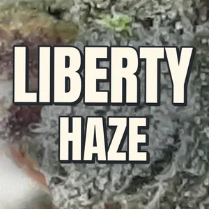 Liberty Haze Cannabis Strain