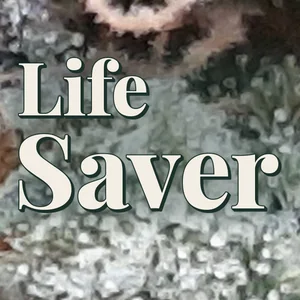 Life Saver Cannabis Strain