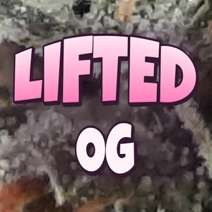 Lifted OG Cannabis Strain