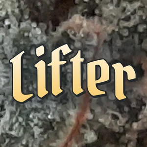 Lifter Cannabis Strain