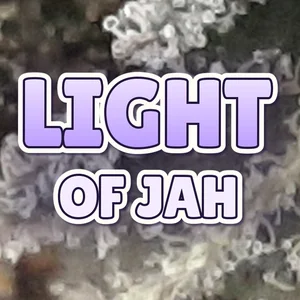 Light Of Jah Cannabis Strain