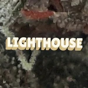 Lighthouse Cannabis Strain