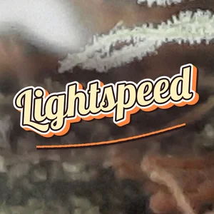 Lightspeed Cannabis Strain
