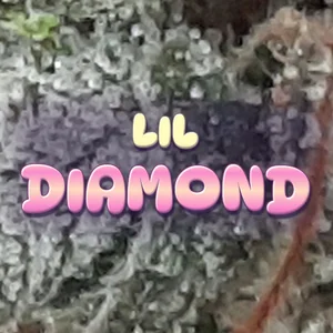 Lil Diamond Cannabis Strain