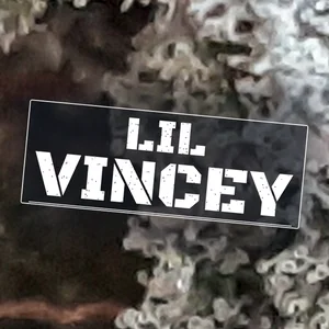 Lil Vincey Cannabis Strain