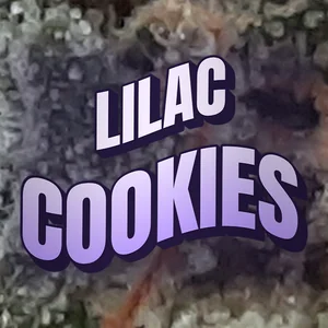 Lilac Cookies Cannabis Strain