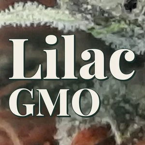 Lilac GMO Cannabis Strain