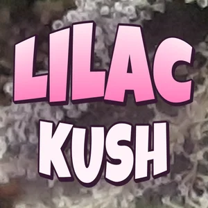 Lilac Kush Cannabis Strain
