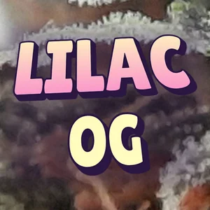 Lilac OG Cannabis Strain