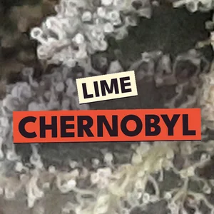 Lime Chernobyl Cannabis Strain