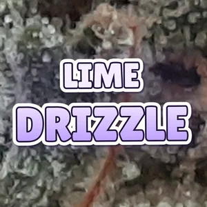 Lime Drizzle Cannabis Strain