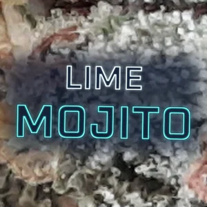 Lime Mojito Cannabis Strain