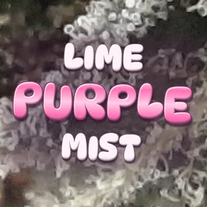 Lime Purple Mist Cannabis Strain