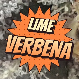 Lime Verbena Cannabis Strain